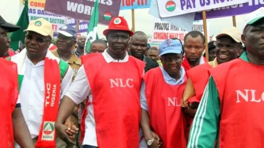 PlusTv Africa-NLC.jpg PlusTv Africa-NLC.jpg