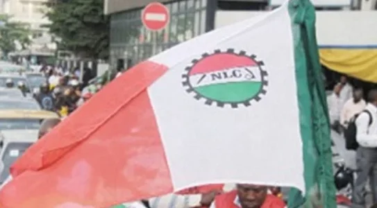 nlc.jpg nlc.jpg