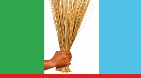 Thisdaylive Newspaper-APC.jpg Thisdaylive Newspaper-APC.jpg