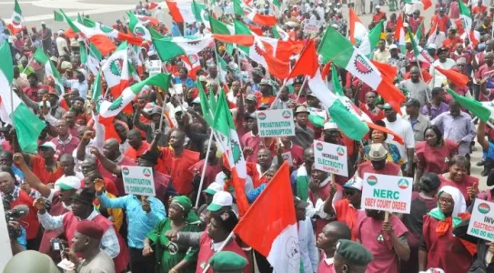 Thisdaylive Newspaper-NLC.jpg Thisdaylive Newspaper-NLC.jpg
