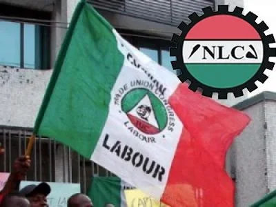 NLC.jpg NLC.jpg