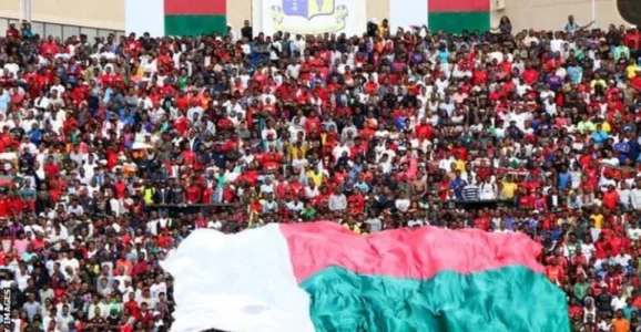 Madagascar Fans.jpg Madagascar Fans.jpg