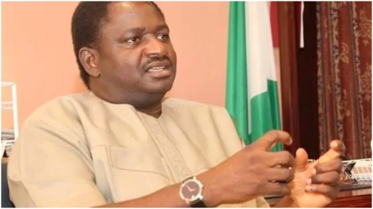 femi-adesina.jpg femi-adesina.jpg