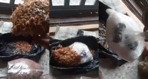 Nigerian-lady-heading-to-Italy-finds-hard-drugs-in-crayfish.jpg Nigerian-lady-heading-to-Italy-finds-hard-drugs-in-crayfish.jpg