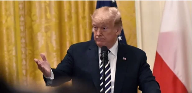 Punch Newspaper-Donald Trump.JPG Punch Newspaper-Donald Trump.JPG