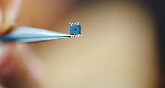 Microchips.jpg Microchips.jpg