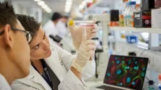 cancer research.jpg cancer research.jpg