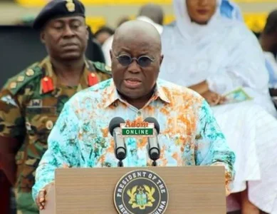 addo.JPG addo.JPG