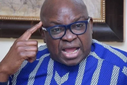 Ayodele Fayose.jpg Ayodele Fayose.jpg