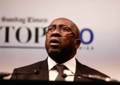Nhlanhla Nene.jpg Nhlanhla Nene.jpg