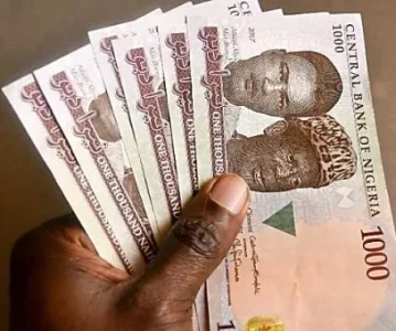 naira.JPG naira.JPG
