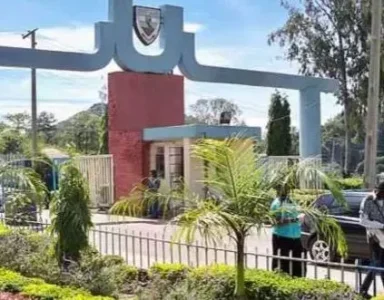 unijos.JPG unijos.JPG