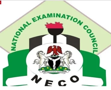 neco.JPG neco.JPG