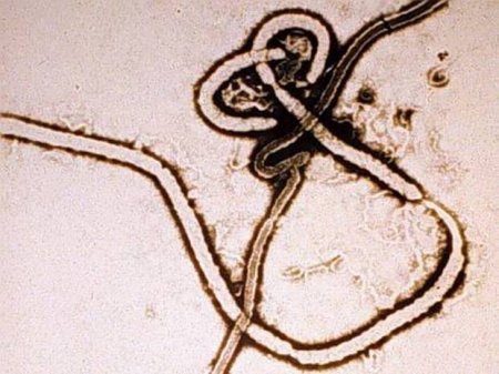 web-ebola-2.jpg