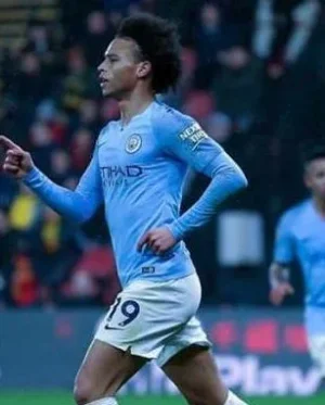 sane.JPG sane.JPG