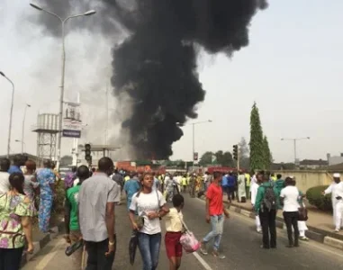forte oil.JPG forte oil.JPG