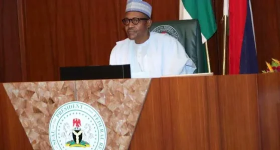 8426089_fecbuhari_jpeg148178d36f14cd6a3a1933d12c869e12.jpeg