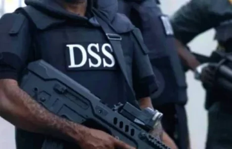 dss.JPG