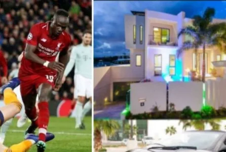 mane.JPG