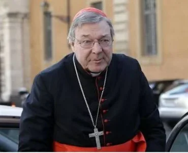 CARDINAL.JPG
