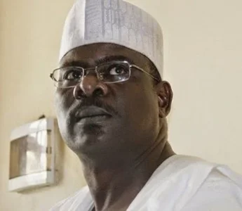 ndume.JPG ndume.JPG