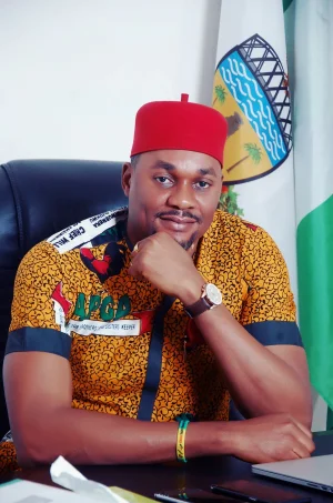 Hon. Ifeanyi Ibezi.jpg Hon. Ifeanyi Ibezi.jpg
