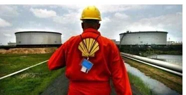shelll.JPG shelll.JPG