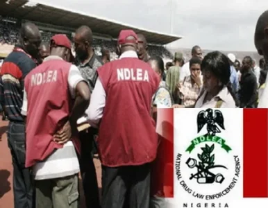 ndlea.jpg ndlea.jpg