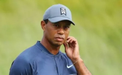 tiger.JPG
