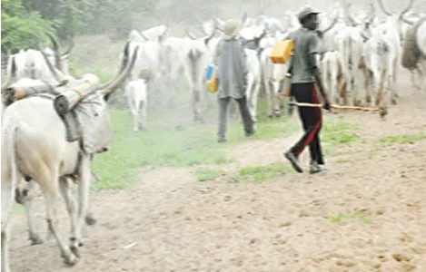 Herdsmen.png Herdsmen.png