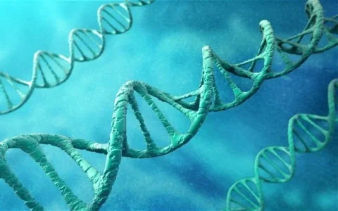 dna_2330322b_1_trans_NvBQzQNjv4BqpJliwavx4coWFCaEkEsb3kvxIt-lGGWCWqwLa_RXJU8.jpg dna_2330322b_1_trans_NvBQzQNjv4BqpJliwavx4coWFCaEkEsb3kvxIt-lGGWCWqwLa_RXJU8.jpg