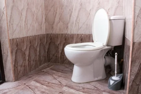 toilet-bowl-in-cubicle-for-foul-smelling-poop.jpg toilet-bowl-in-cubicle-for-foul-smelling-poop.jpg