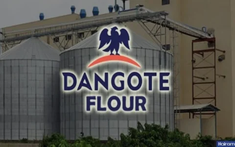 Dangote-Flour-Mills-Plc.jpg Dangote-Flour-Mills-Plc.jpg