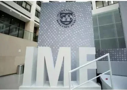 imf.JPG