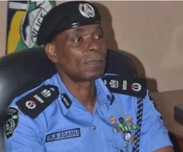 igp.JPG igp.JPG