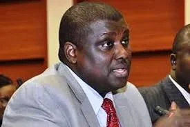 maina.jpg maina.jpg