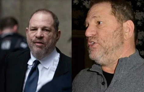 harvey.JPG harvey.JPG