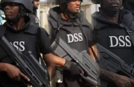 DSS.jpg