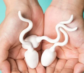 sperm.JPG sperm.JPG