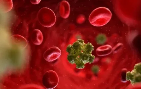 hpv.JPG hpv.JPG