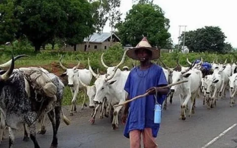 herdsmen.JPG herdsmen.JPG