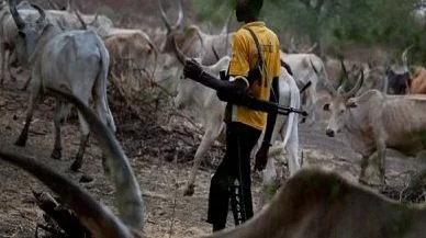 www.nigerianbulletin.com