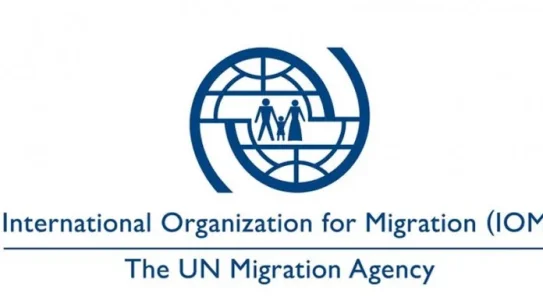 iom-2.jpg iom-2.jpg
