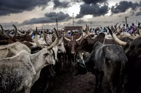 herdsmen.JPG herdsmen.JPG