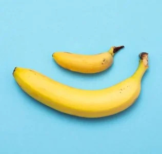 penis.JPG