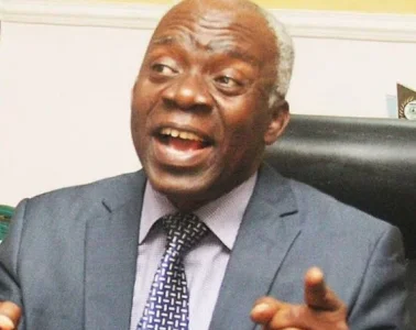 falana.JPG falana.JPG