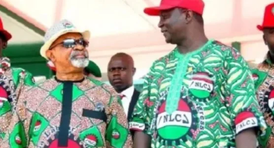 nlc.JPG nlc.JPG