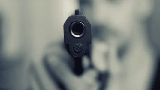 gunshot.PNG gunshot.PNG