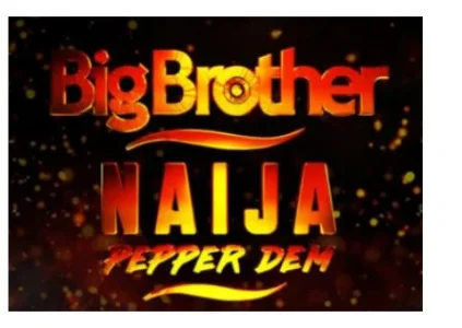 bbnaija.JPG