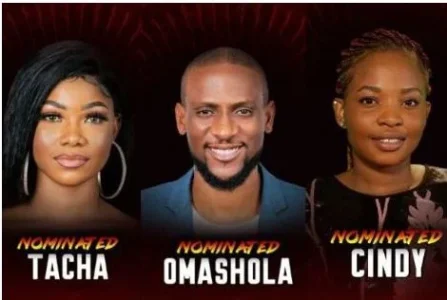 bbnaija.JPG